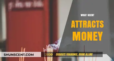 Attract Wealth with Scents: Aromas Linked to Prosperity and Abundance