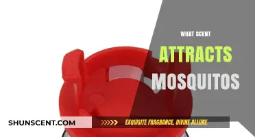 Unveiling the Aromatic Allure: Scents That Attract Mosquitos to Humans