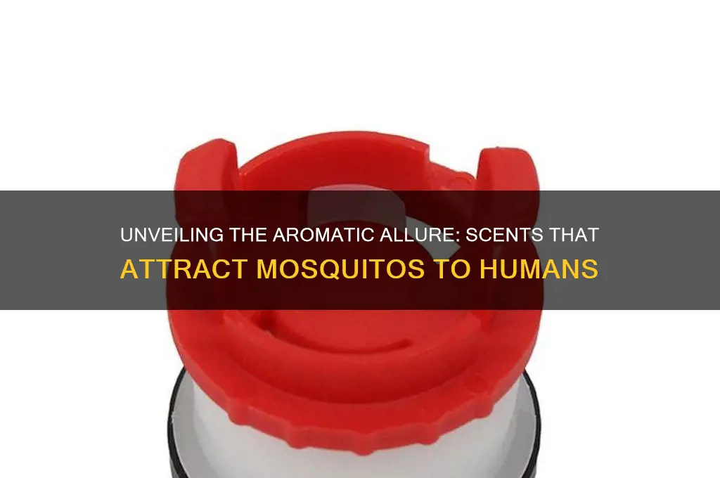what scent attracts mosquitos