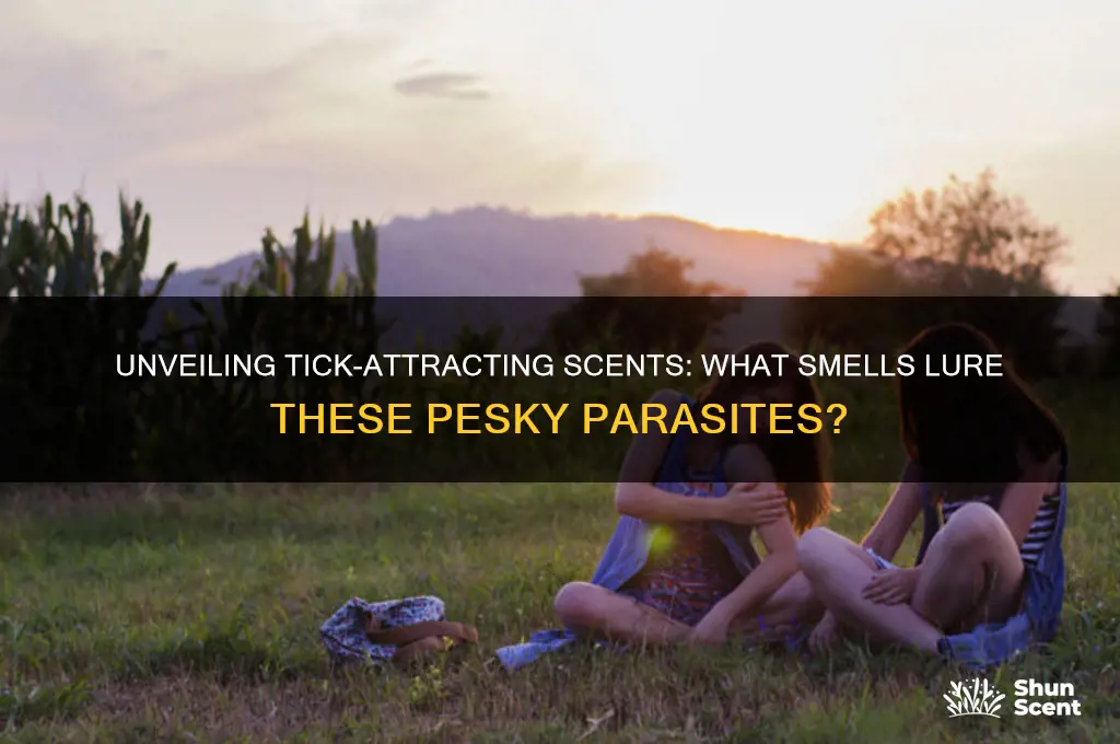 what scent attracts ticks