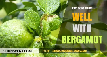 Bergamot's Perfect Pairings: Discover Scents That Enhance Its Citrus Charm