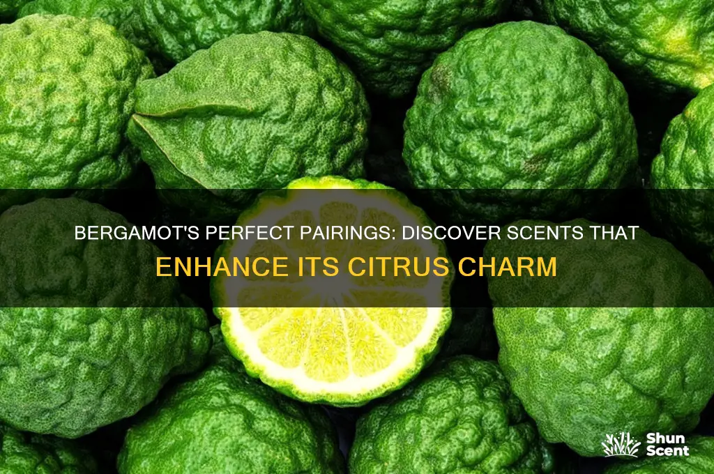 what scent blends well with bergamot