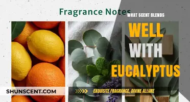 Perfect Pairings: Discover Scents That Blend Beautifully with Eucalyptus