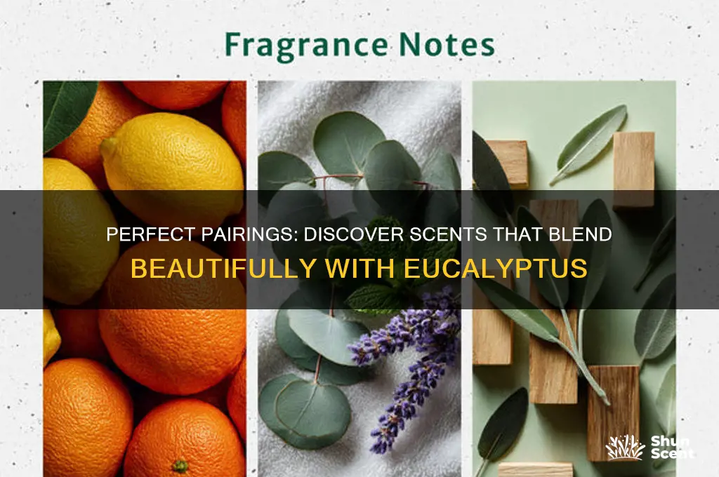 what scent blends well with eucalyptus