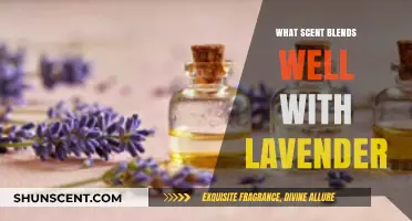 Lavender's Perfect Pairings: Discover Scents That Enhance Its Soothing Aroma