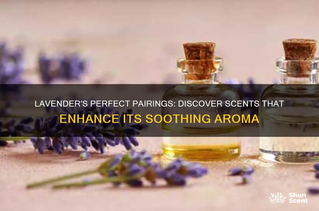 what scent blends well with lavender