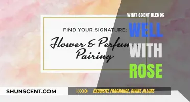 Rose's Perfect Pairings: Discover Scents That Enhance Its Floral Elegance