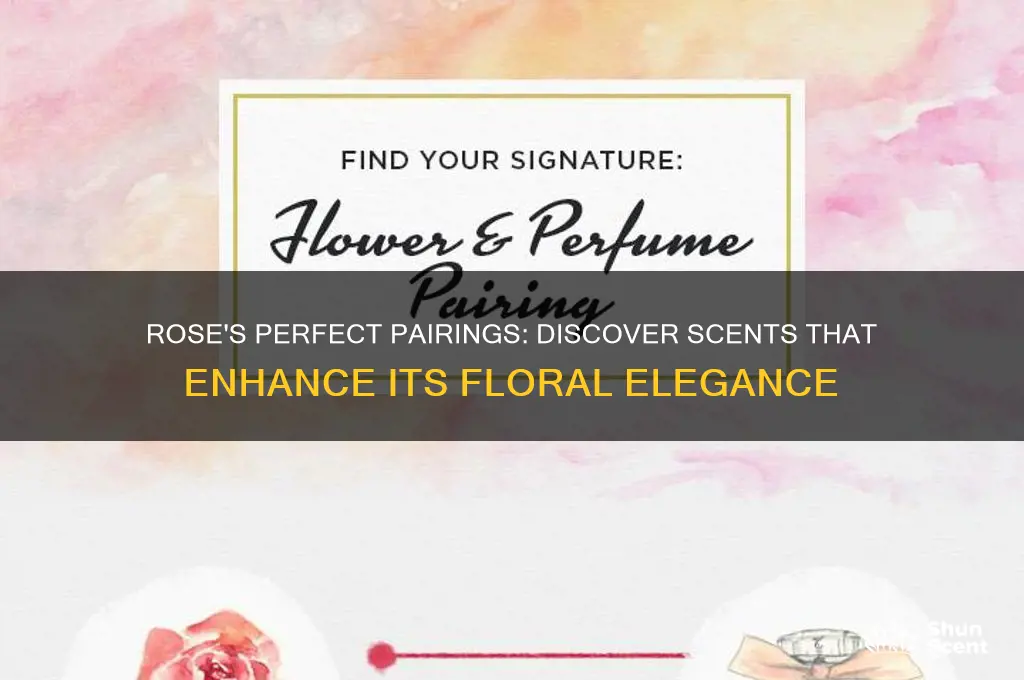 what scent blends well with rose