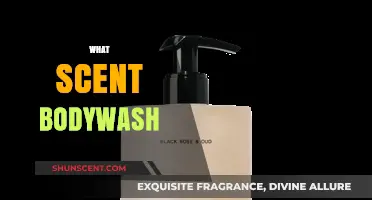 Discover the Perfect Scented Body Wash for Your Daily Shower Routine