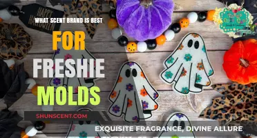 Top Scent Brands for Freshie Molds: A Comprehensive Guide