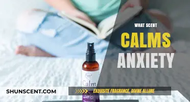 Soothing Scents: Aromatherapy Essentials to Ease Anxiety Naturally