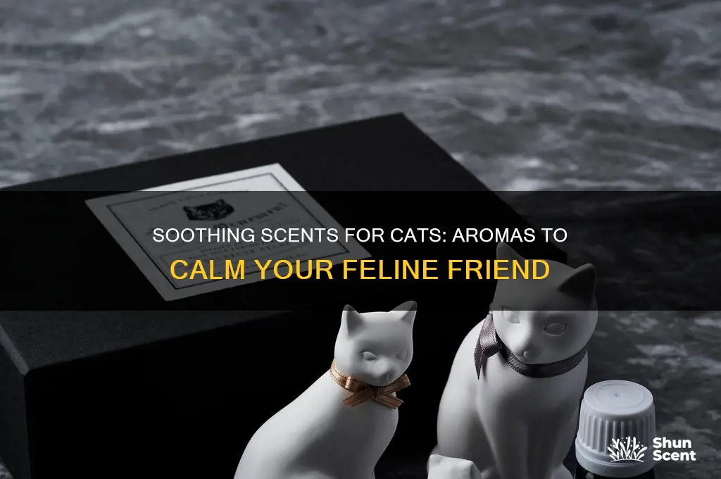 what scent calms cats down