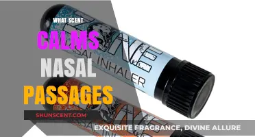 Breathe Easy: Discover the Soothing Scents for Nasal Passage Relief