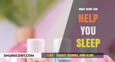 Aromatherapy for Rest: Scents to Enhance Your Sleep Quality