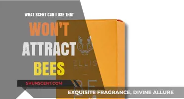 Bee-Free Fragrances: Scents to Wear Without Attracting Bees