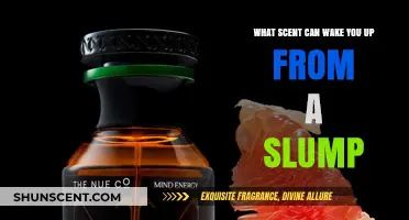 Energizing Aromas: Scents to Revive Your Slump and Boost Focus