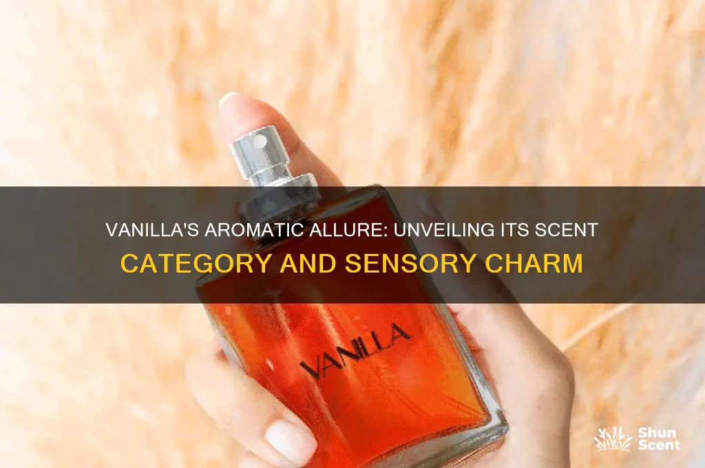 what scent category is vanilla