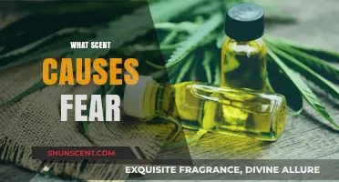 Unveiling the Aromatic Triggers: Scents That Evoke Primal Fear Responses