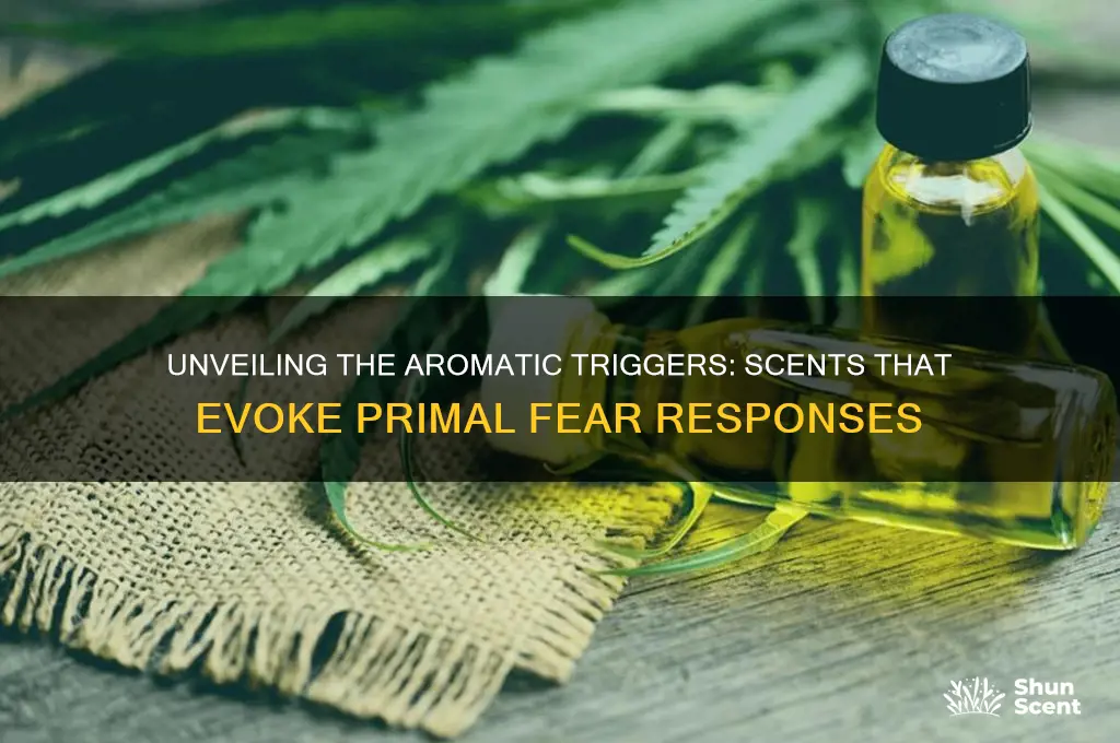 what scent causes fear