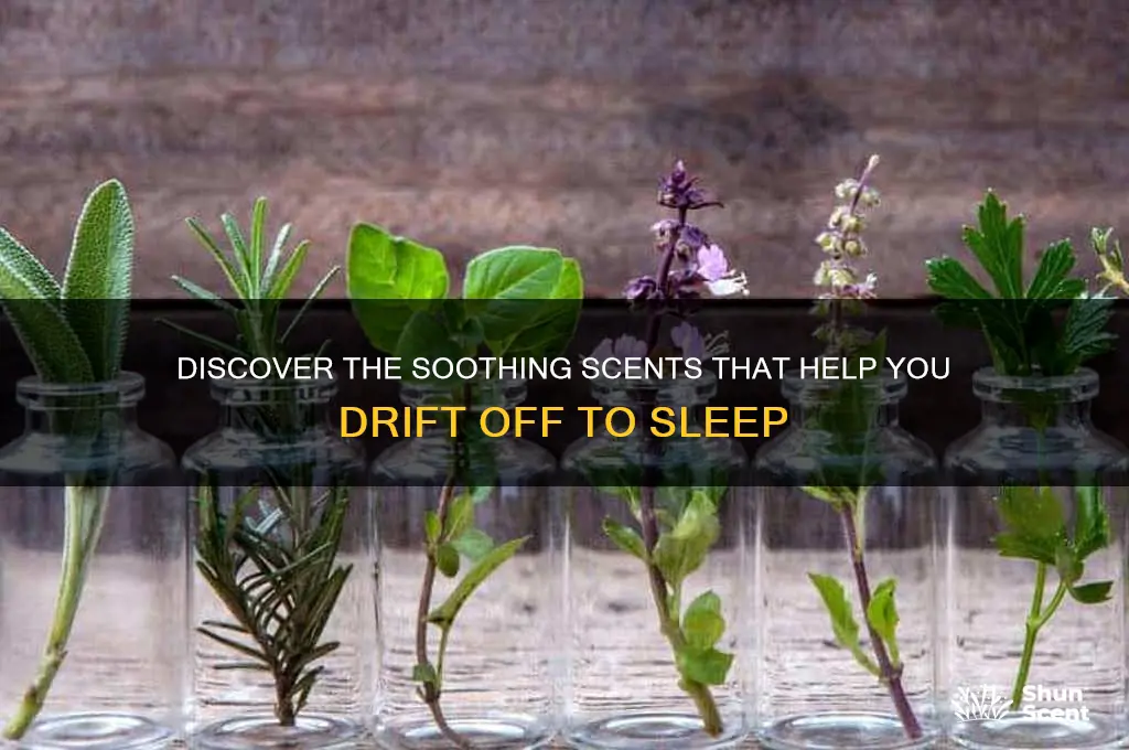 what scent causes people to fall asleep