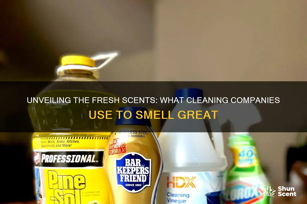 what scent cleaning companies use