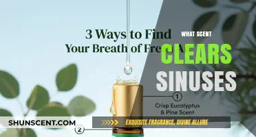 Breathe Easier: Discover the Best Scents to Clear Sinuses Fast
