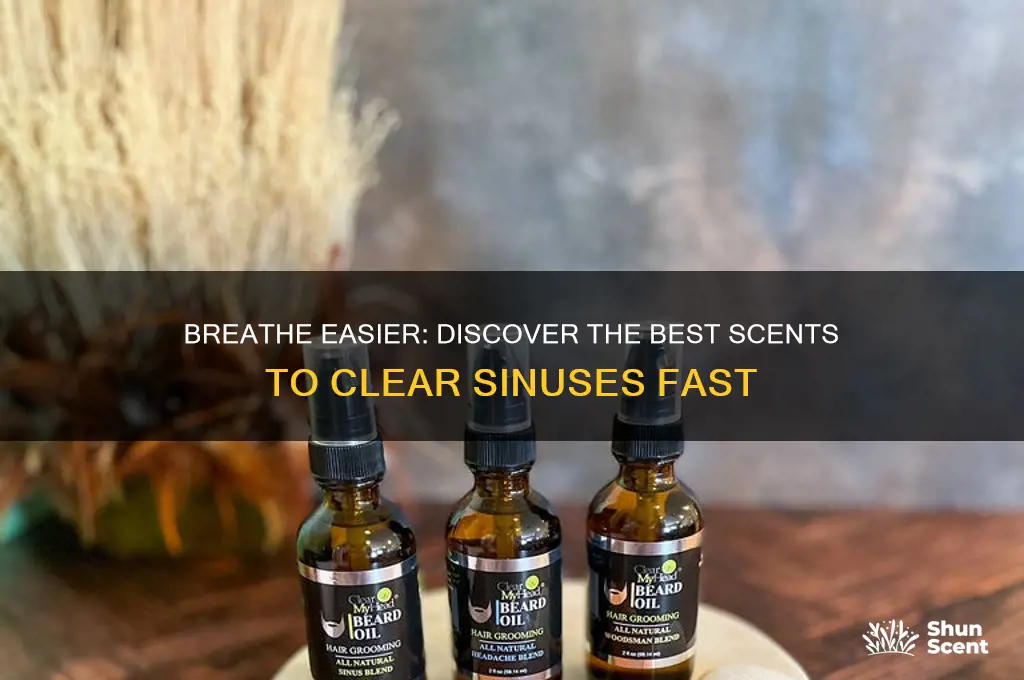 what scent clears sinuses