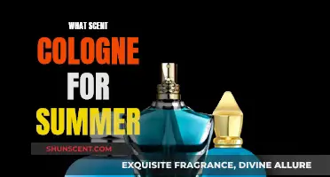 Summer Scents: Fresh Cologne Picks for the Season