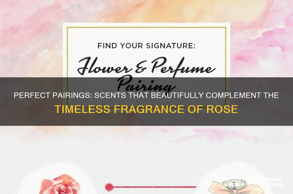 what scent compliments rose