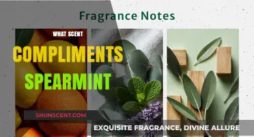 Spearmint's Perfect Pair: Discover Scents That Enhance Its Fresh Aroma