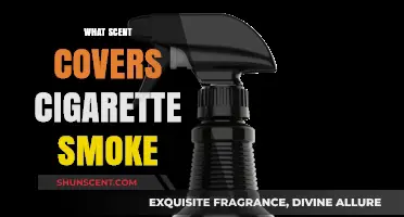 Effective Scents to Mask Cigarette Smoke: Freshen Your Space Fast