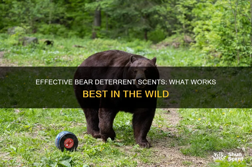 what scent deters bears
