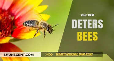 Effective Scents to Keep Bees Away: Natural Repellents Guide