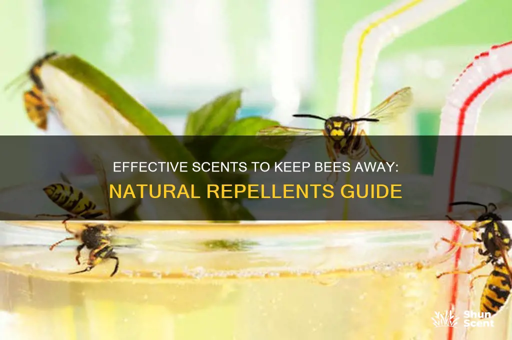 what scent deters bees