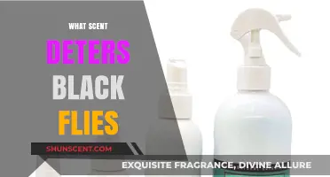 Effective Scents to Repel Black Flies: Natural Solutions for Outdoor Comfort