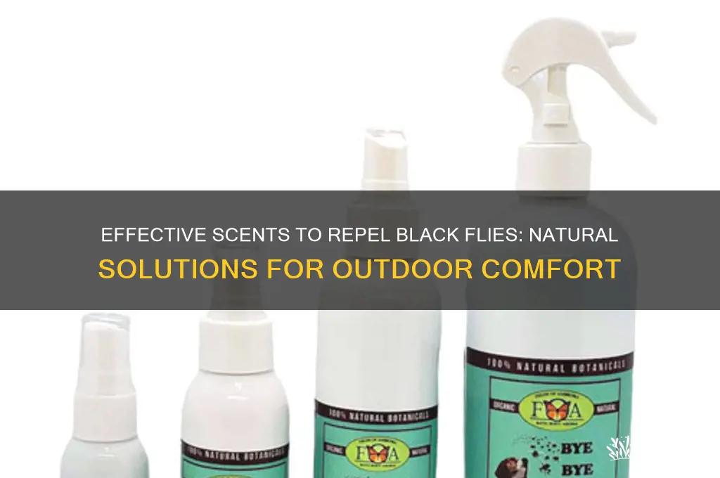what scent deters black flies