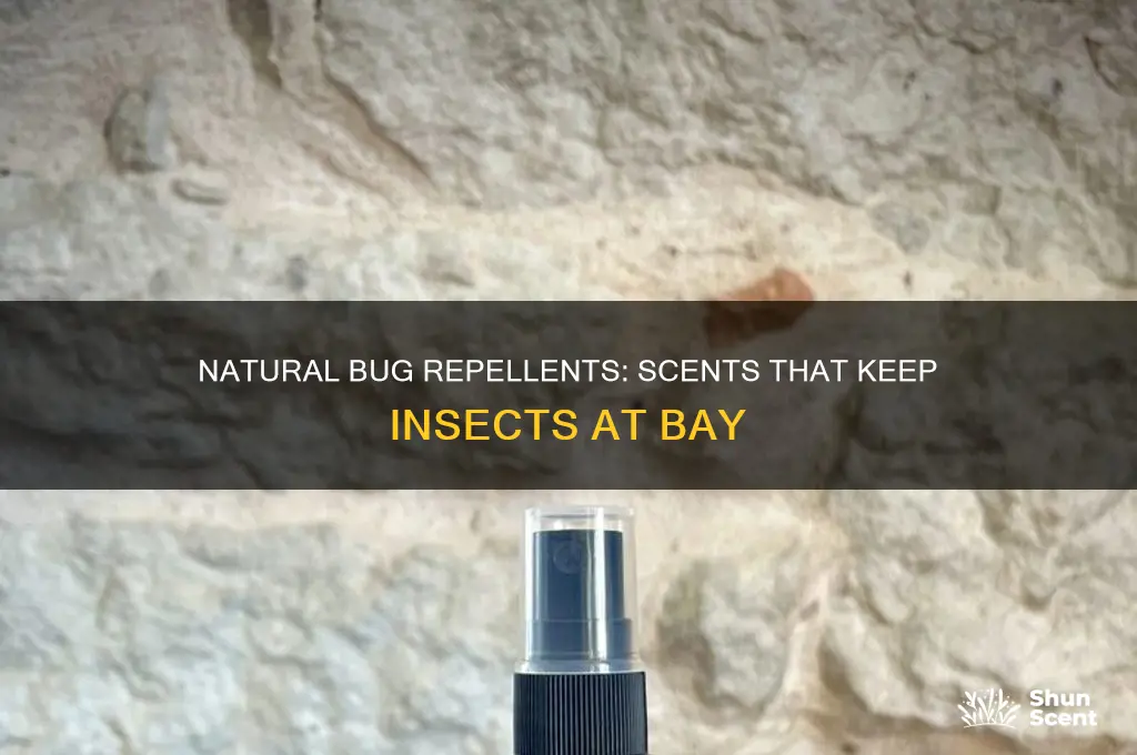 what scent deters bugs