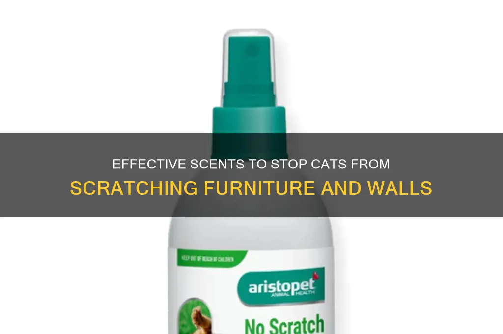 what scent deters cats from scratching