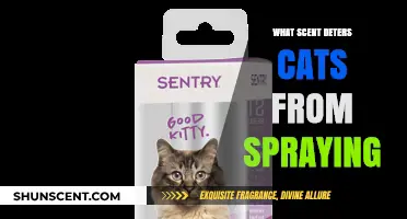 Effective Scents to Stop Cats from Spraying: A Complete Guide