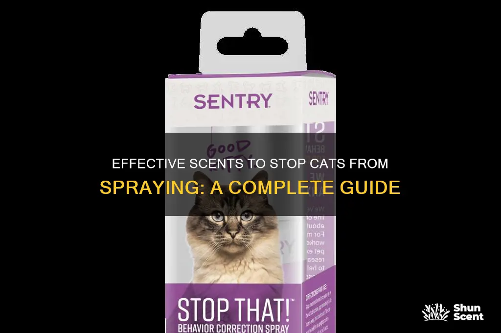 what scent deters cats from spraying