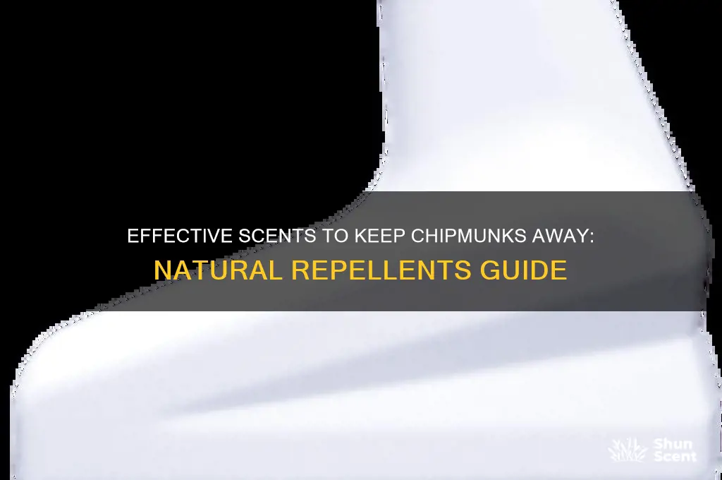 what scent deters chipmunks