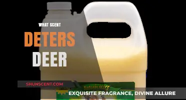 Effective Scents to Keep Deer Away: Natural Repellents That Work