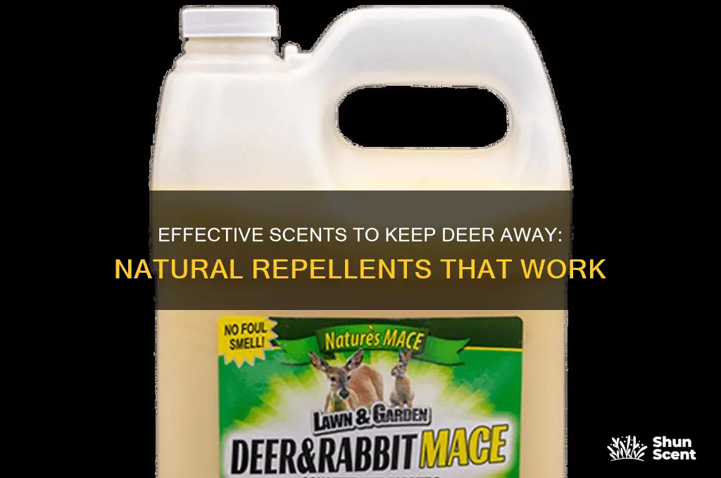 what scent deters deer