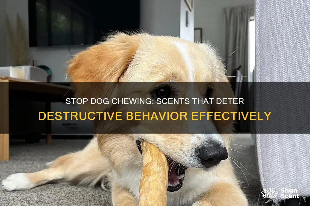 what scent deters dogs from chewing