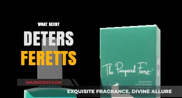 Effective Scents to Keep Ferrets Away: Natural Repellents Guide