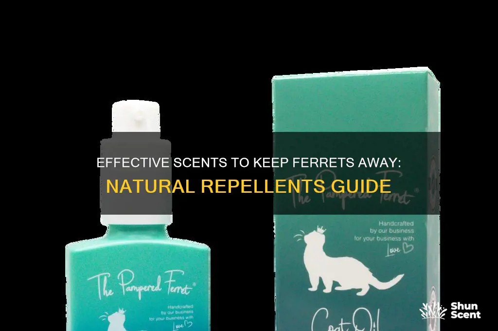 what scent deters feretts
