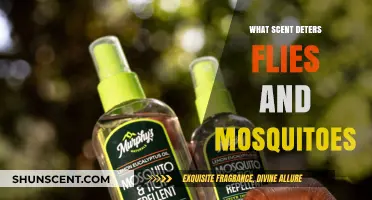 Natural Repellents: Scents That Keep Flies and Mosquitoes Away