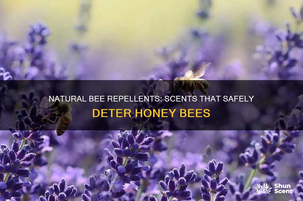 what scent deters honey bees