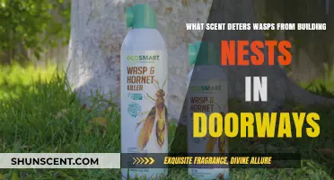 Effective Scents to Keep Wasps from Nesting in Doorways