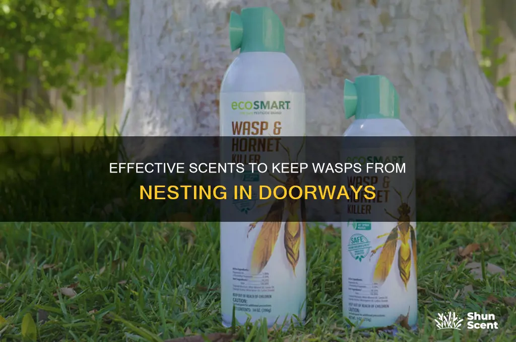 what scent deters wasps from building nests in doorways